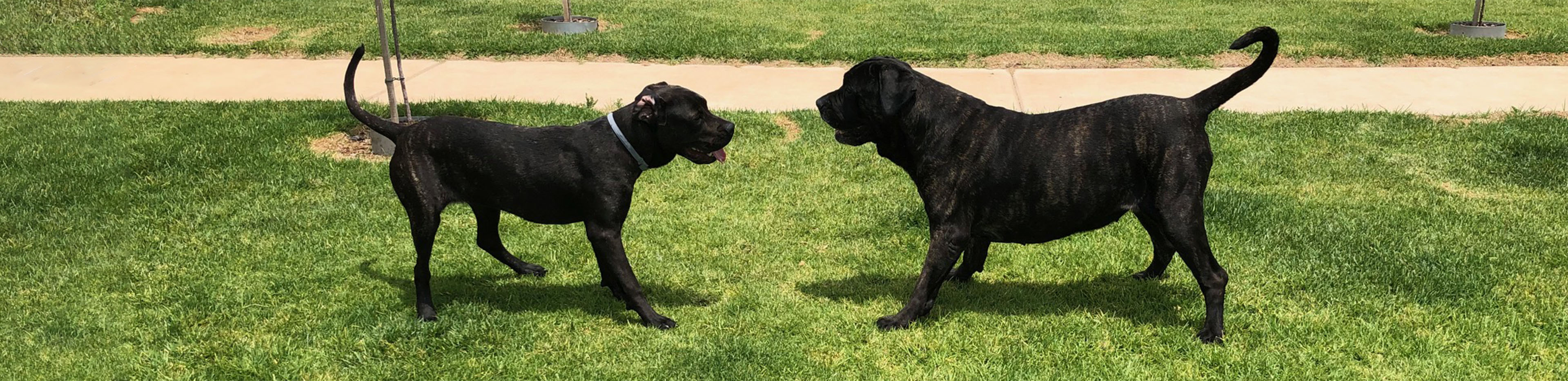 Brooke and Mina looking at each other